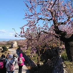 Actividades de Invierno